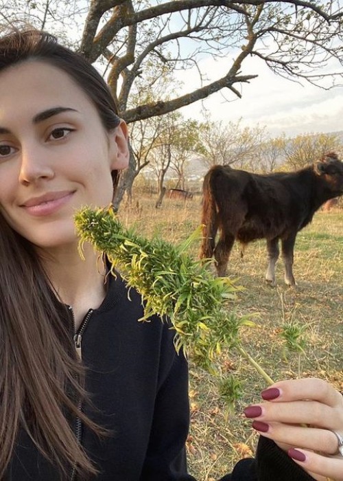 Проститутка Жасмин Жасмин